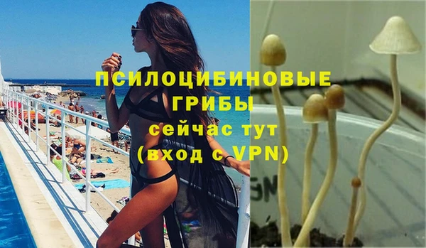 Альфа ПВП Нефтегорск