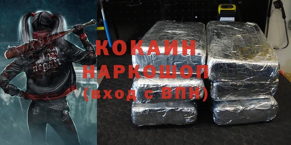 spice Новодвинск
