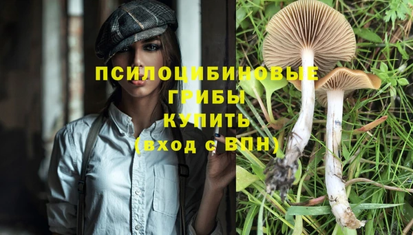 сатива Нефтекумск
