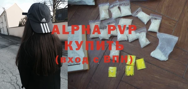 spice Новодвинск