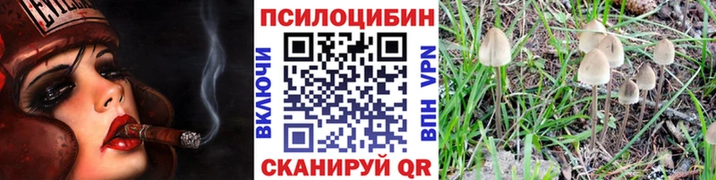 Псилоцибиновые грибы Cubensis  kraken онион  Нестеровская 
