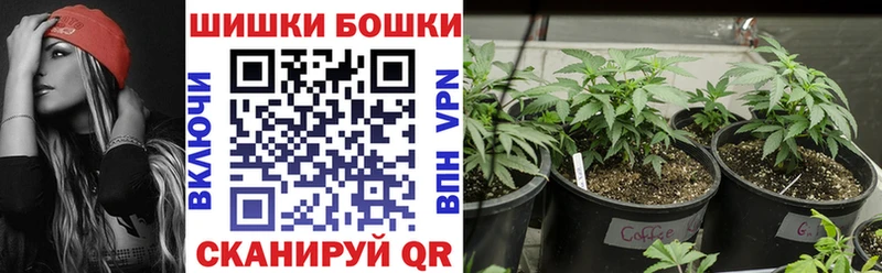 Бошки марихуана конопля  Нестеровская 